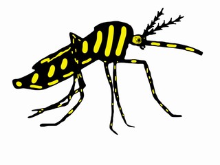 moustique dangereux