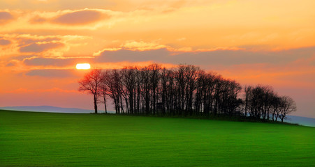 Rest of a forest in agricultural landscape. Silhouettes of trees against beautiful sunset. Early spring scenery in Slavkovsky Les, Czech Republic, Central Europe. Warm filtered picture.