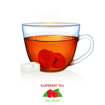 Raspberry Tea illustration. Vector. Beautiful illustration of raspberry tea with two peaces of sugar. Glass cup.