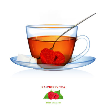 Raspberry Tea illustration. Vector. Beautiful illustration of raspberry tea with two peaces of sugar and spoon. Glass cup and saucer.