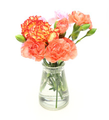 カーネーションと薔薇