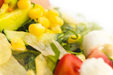 Fresh organic salad close up