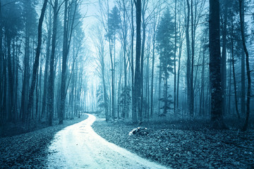 Mystical blue colored foggy light in forest with road. Blue color tone used.