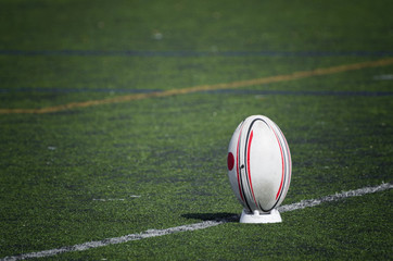 Balón de Rugby sobre el césped
