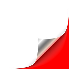 Silver Curled Corner