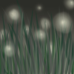 nature grass sky fireflies background