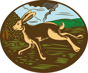 Wild Hare Rabbit Running Oval Woodcut
