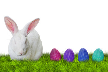 Bunny and Easter eggs on grass