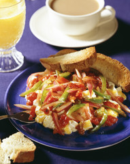 Omlette and Salad served with tea
