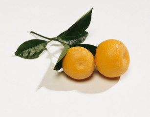 Pair of oranges