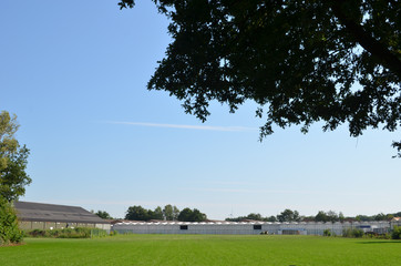 Lush meadow surrounded by greenhouses in rural Flanders