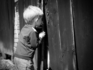 Children's curiosity - boy looking throw shed's door - obrazy, fototapety, plakaty