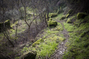 mountain path and stones with moss, Caminho dos Moleiros, Castelo Novo, Portugal