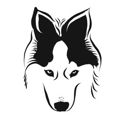 siberian husky head vector