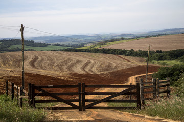 Gate in the field