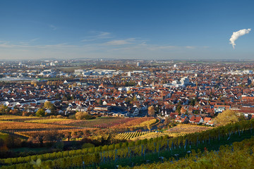 Blick auf Fellbach vom Kappelberg