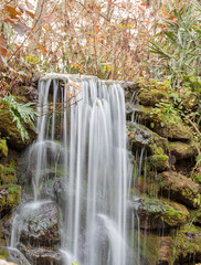 Florida Natural Spring Water Fall