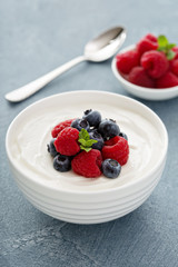 Natural yogurt in a bowl with berries