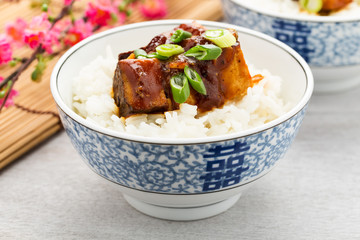 Barbecue-Tofu mit Reis - barbecue tofu with rice