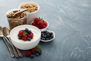 Natural yogurt in a bowl with berries