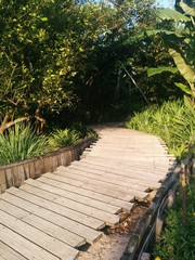 Gangway to garden