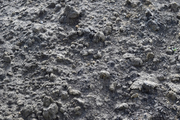 Fototapeta premium Background from the hardened cement mortar