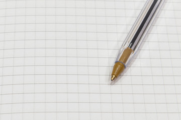 pen on a white sheet of paper in the cage close up