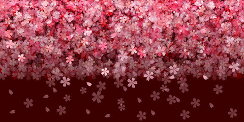 Obraz premium 桜 春 花 背景