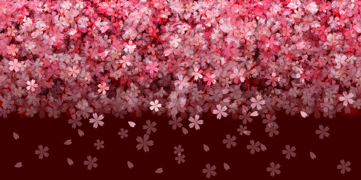 桜　春　花　背景