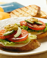 Tomato, cheese and avocado sandwich