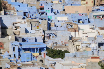 Fototapeta premium Jodhpur Houses, the Blue City
