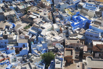 Jodhpur Houses, the Blue City
