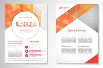 Vector Brochure Flyer design Layout template, size A4, Front page and back page, infographics. Easy to use and edit.