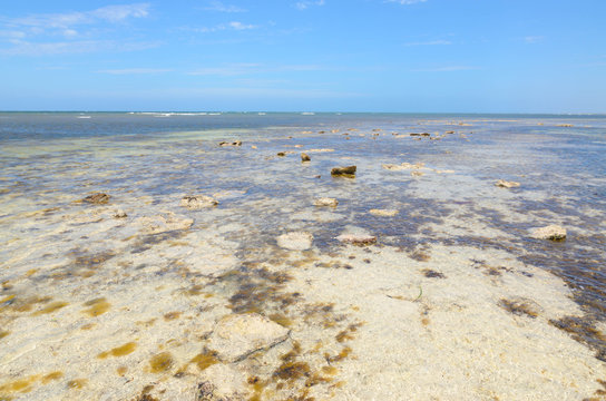 Shallow water reef South Australian coast line Yorke Peninsula