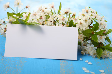 Flowers of cherry and card