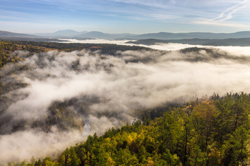 Low fog and clouds with tops of evergreen trees in foreground