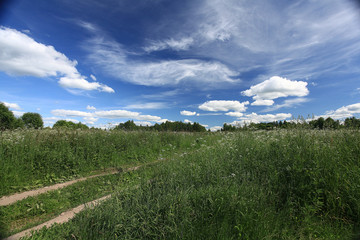 road in summer field