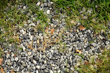 scree rock with grass