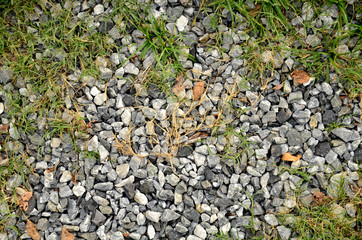 scree rock with grass