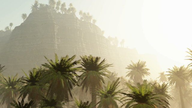 tropical palm jungle with sun rays and thick morning fog