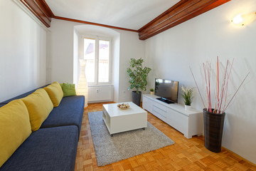 Modern living room with wooden floor