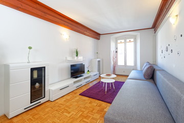Modern living room with wood floor
