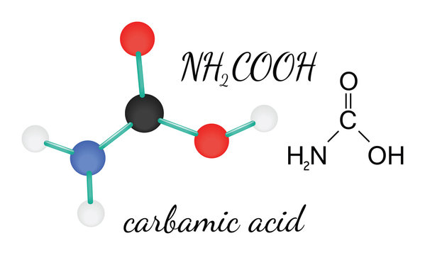 NH2COOH carbamic acid molecule