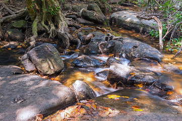 Brook at Kbal Spean