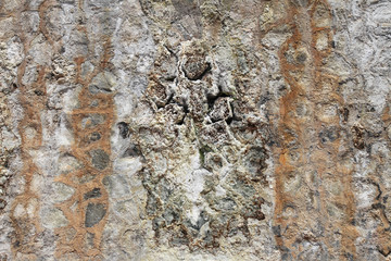 Vertical wall of rock