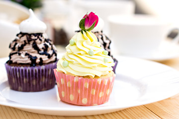 Chocolate Cupcake with chocolate frosting on the table