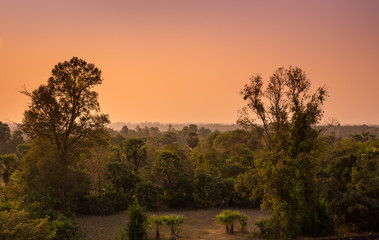 Naklejka premium Sunset over the jungle