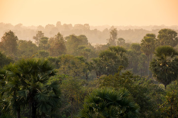 Sunset over the jungle