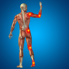 Fototapeta na wymiar 3D human man pain anatomy on blue background