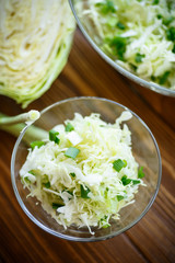 salad of fresh spring cabbage 